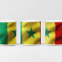 CP 006651 Caneca Bandeira Do Senegal
